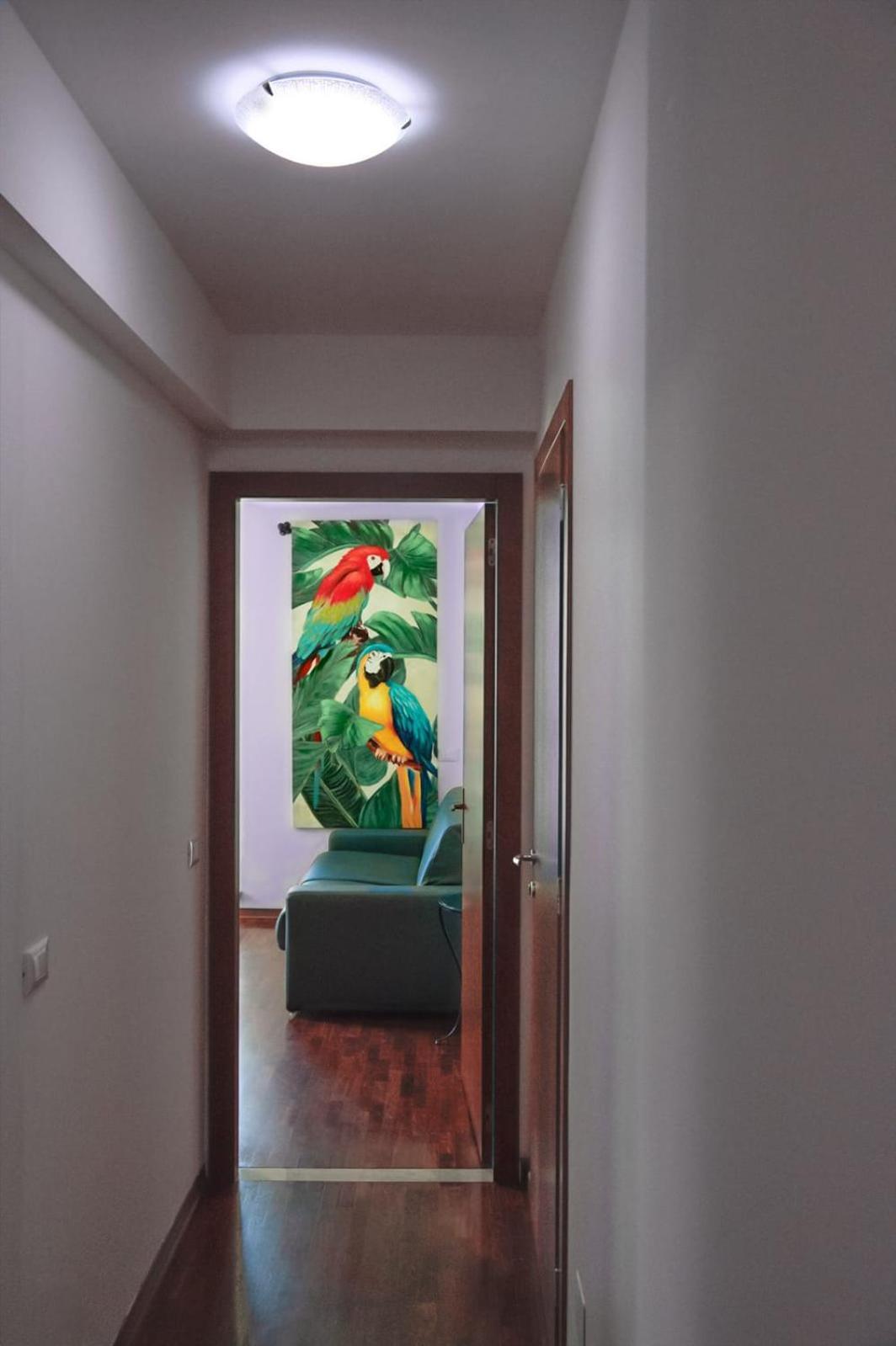 ורונה Amanti Due Apartments מראה חיצוני תמונה